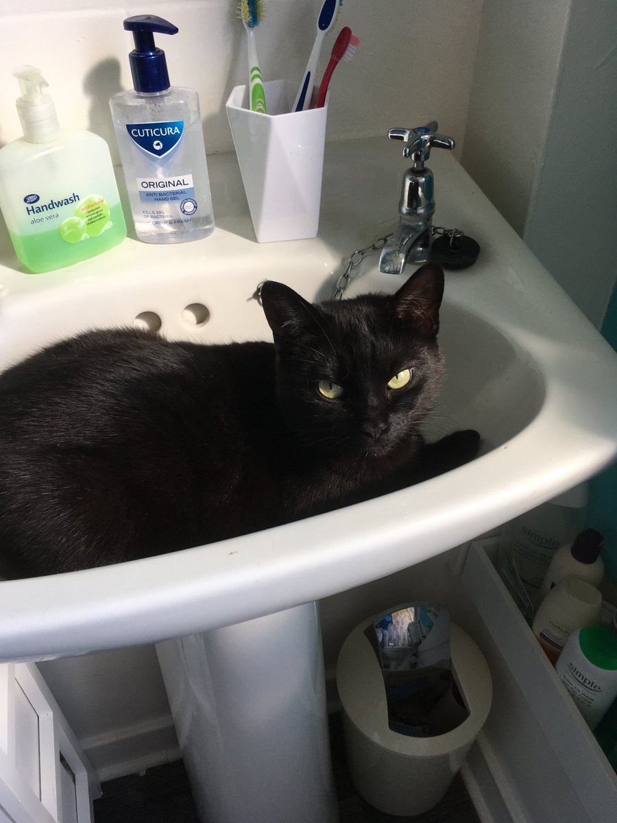 KennethRobertB4's tweet photo. ⁦@garethlpowell⁩  .... and, as for using the sink, forget it 😀 https://t.co/nXzAKxNeDV