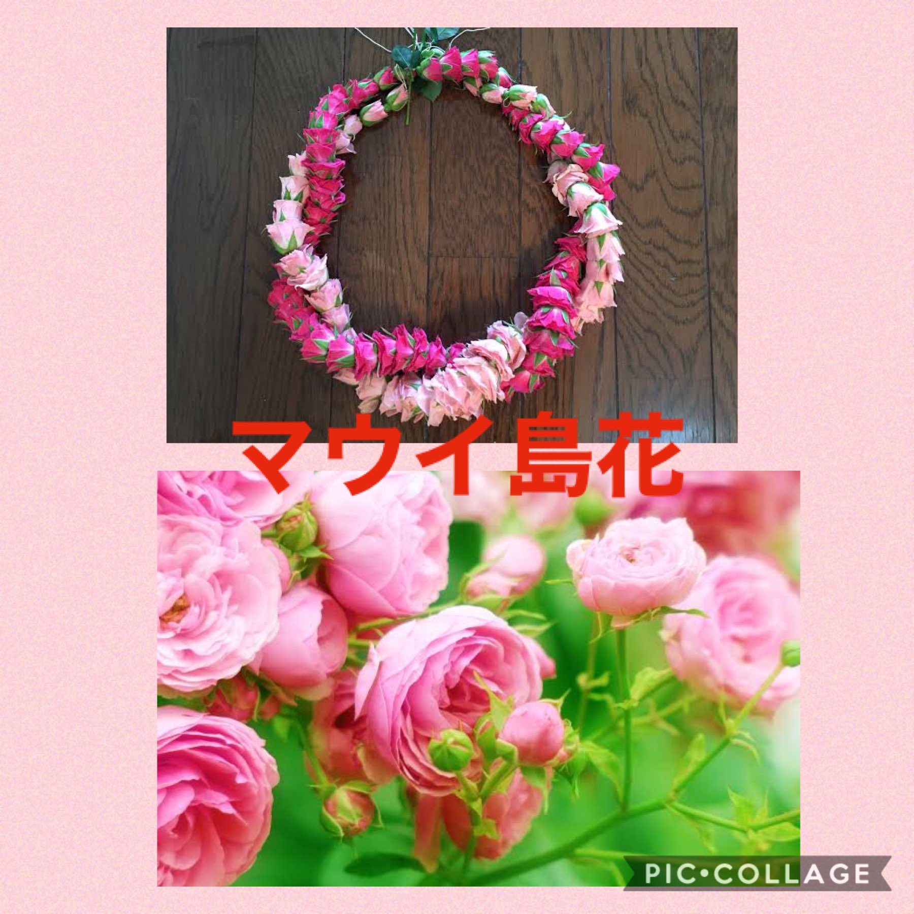 Kapuahaulani 中居くん待ちながら 2週間振り土曜日休み 久々にハワイの番組を観ていたら 無性にハワイ のお花をアップしたくなり ハワイ州４島の島花と その花を使ったレイの写真をご紹介 因みにハワイ州花は 黄色いハイビスカスです 私の 世界に