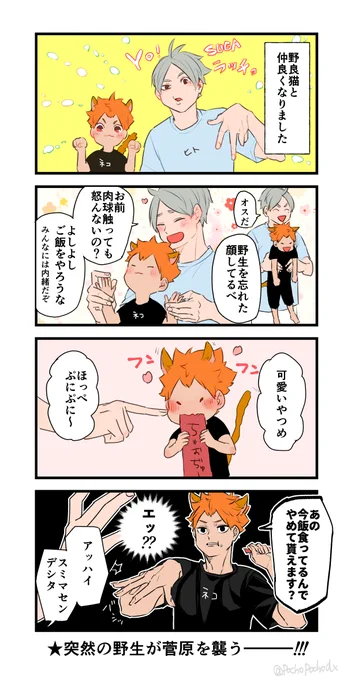 先日はアンケートお答えくださりありがとうございました!ネコチャンと戯れる菅原さんを描いたのでご査収下さい。
スガさんおたおめ〜🎂タイミングがよかった🎉 