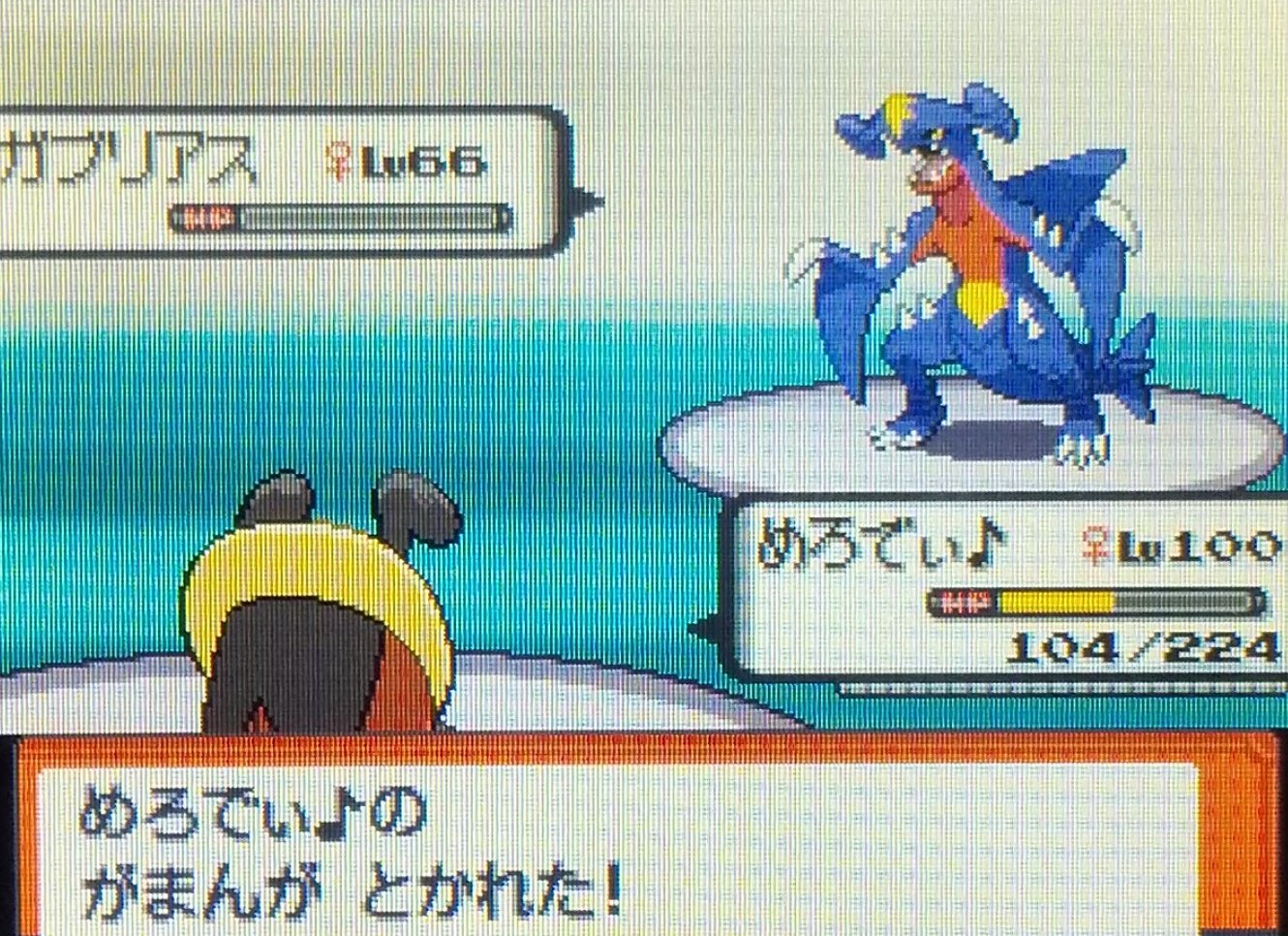 スウ アカ変更 コロボーシ1匹縛り 遂に シロナを撃破 シンオウ地方制覇です ゲーム内プレイ時間は90時間 実際には何百時間 1年9ヶ月前から始めて 引退してしまったフォロワー も沢山いますが 応援してくれて ありがとうございました