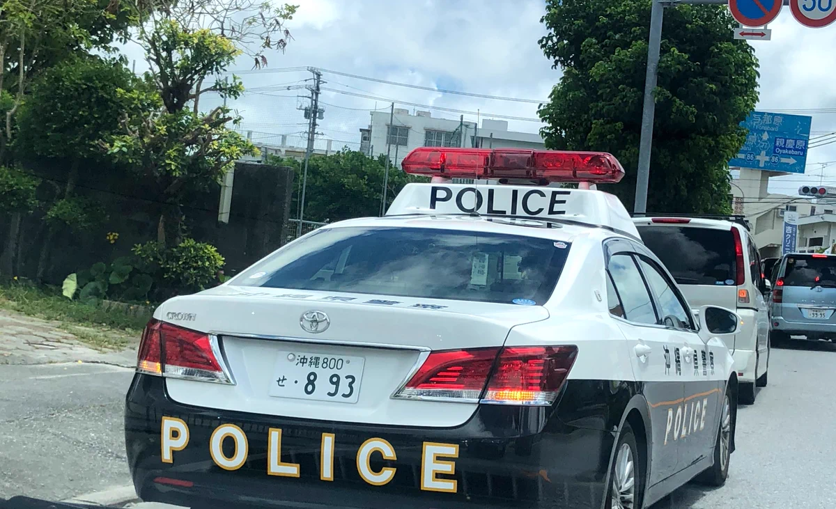他になかったの？普通のパトカーに見えてナンバーがヤバいwww