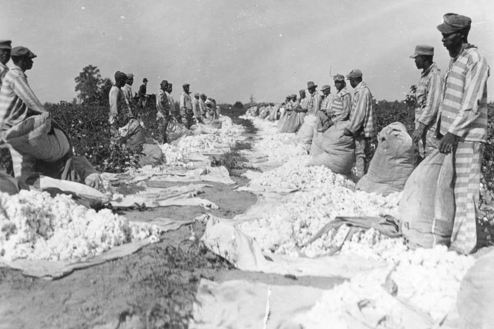 The prison farm, Parchman, came 6 years later as a black-only prison, where black prisoners worked the fields & picked cotton.Gov. Vardaman said it was “like an efficient slave plantation” to give black men “proper discipline, work habits, & respect for white authority.” 3/