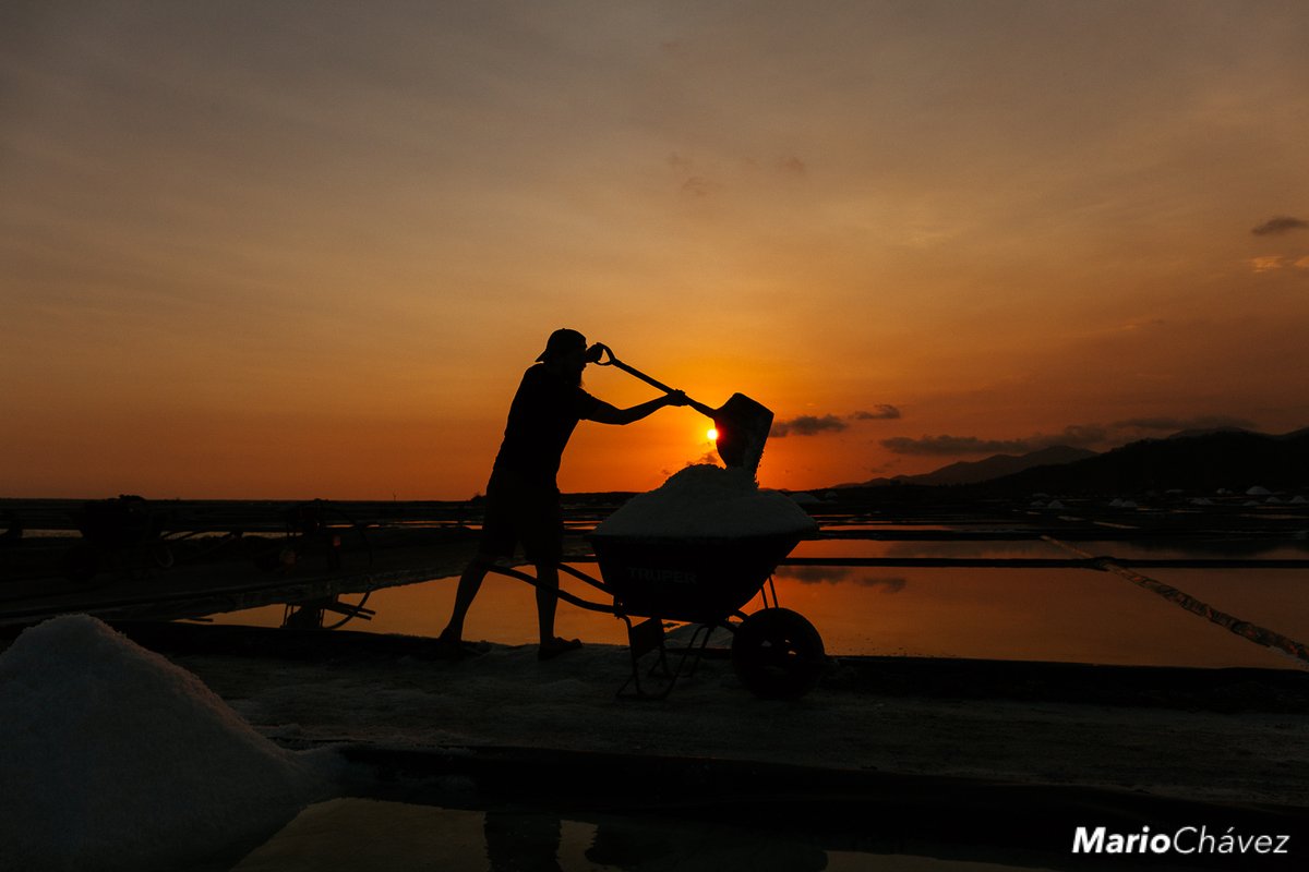 Tengo varios años visitando la Salina de Cuyutlán para hacer fotos.

Este año el salinero que estaba cargando la carreta me dice: "Bueno ahora me toca a mi hacer foto y a a ti cargar la sal"