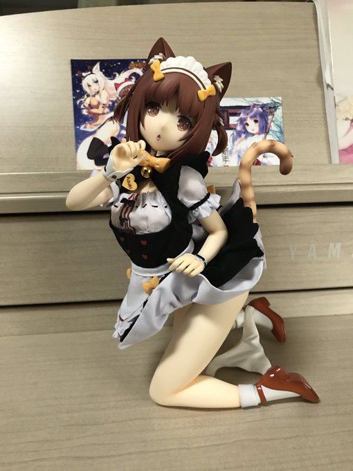 注目 画像ツイート ネコぱら 11ページ目 アニメレーダー