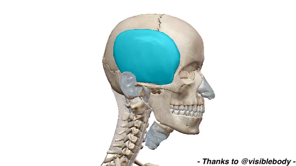 天気による、頭痛ありませんか？マッサージをして痛みを和らげましょう