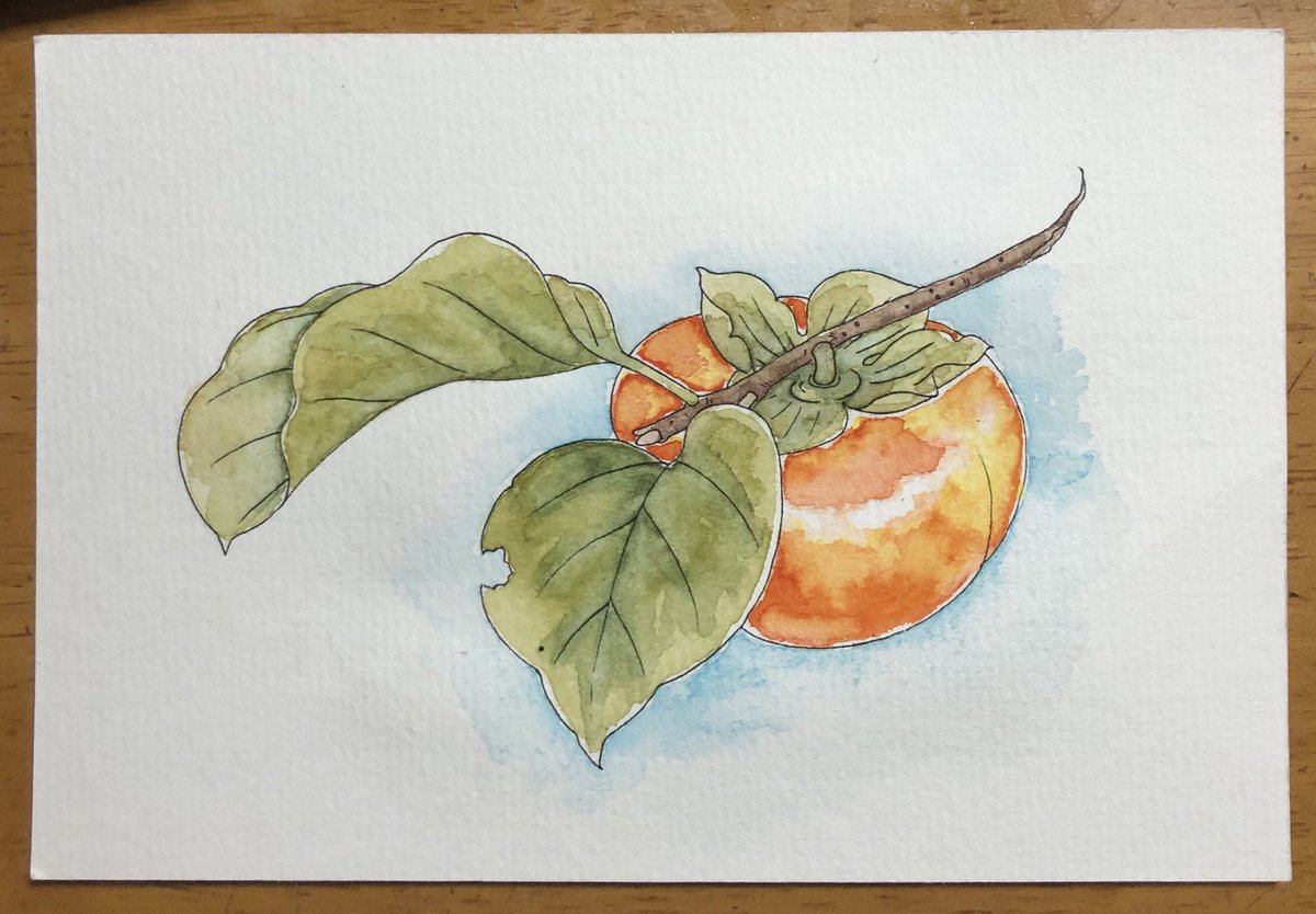 ドリス En Twitter 吉祥顔彩 さん塗り絵線画から柿の絵を塗りました これも画仙紙はがき用紙に印刷したので絵手紙の雰囲気が出せたらと思いながらにじみを楽しみました ドリさん完成作品 顔彩 塗り絵 ドリス En Twitter 吉祥顔彩 さん塗り絵線画から柿の絵を塗りました これも画仙紙はがき用紙に印刷したので絵手紙の雰囲気が出せたらと思いながらにじみを楽しみました ドリさん完成作品 顔彩 塗り絵