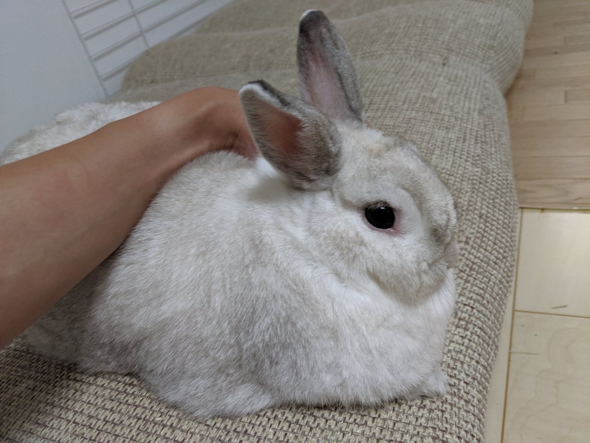 EaXPkG2UMAEbrNN.jpg?format=jpg