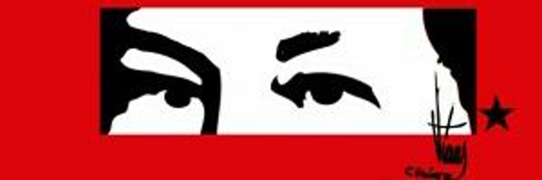 Le acompaño Señor Pinto. Mi profunda solidaridad. Un gran abrazo.