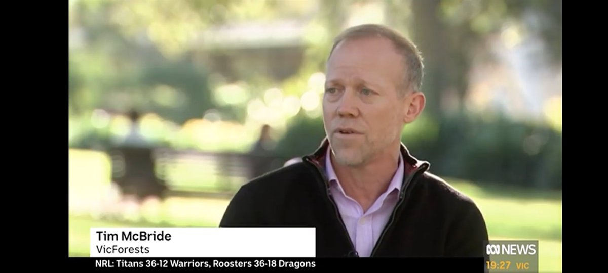 McBride WAS involved in this bonkers scientific experiment in 2018. To assess the effect of different logging regimes on the survival of the threatened Greater Glider, VicForests decided to cut down its habitat, and see what survived.Picture: ABC News