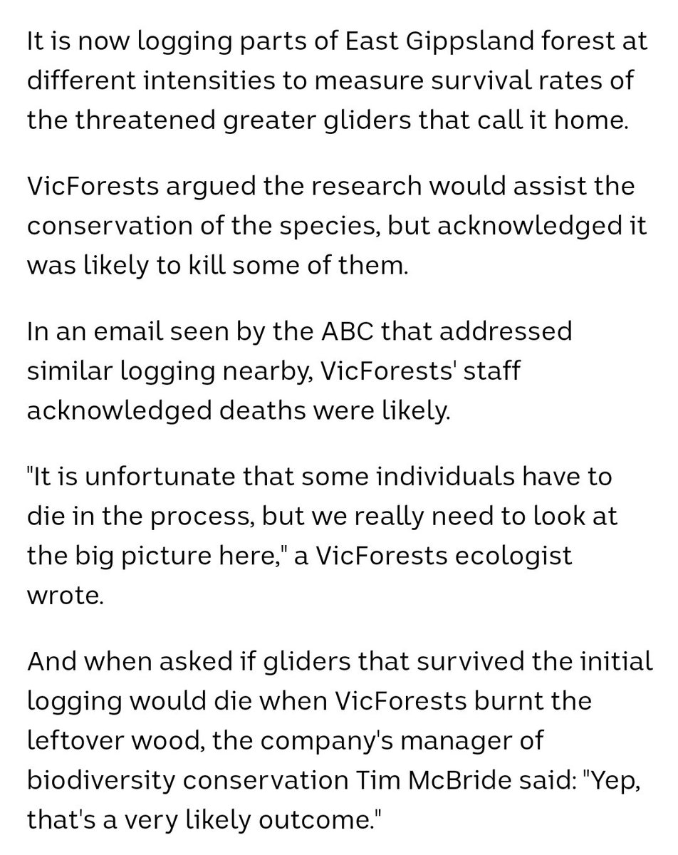McBride WAS involved in this bonkers scientific experiment in 2018. To assess the effect of different logging regimes on the survival of the threatened Greater Glider, VicForests decided to cut down its habitat, and see what survived.Picture: ABC News