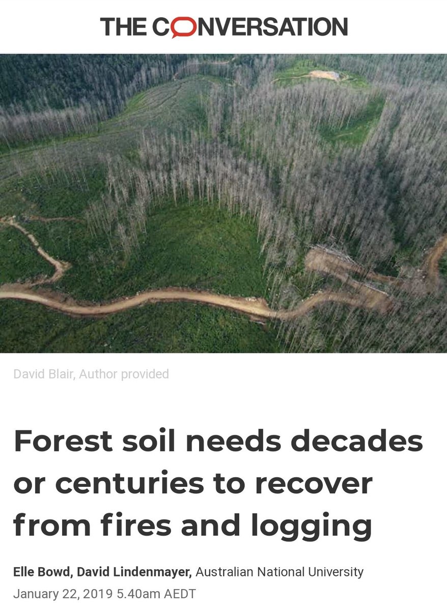 A summary: Organisationally, VicForests does not incorporate scientists in its management planning.It promotes scientific reports supporting logging (almost invariably funded by it) and ignores the preponderance of studies which see logging as damaging to the environment