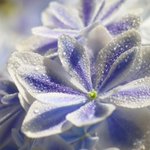 神秘的なカラーが美しい!「万華鏡」島根県で産出!