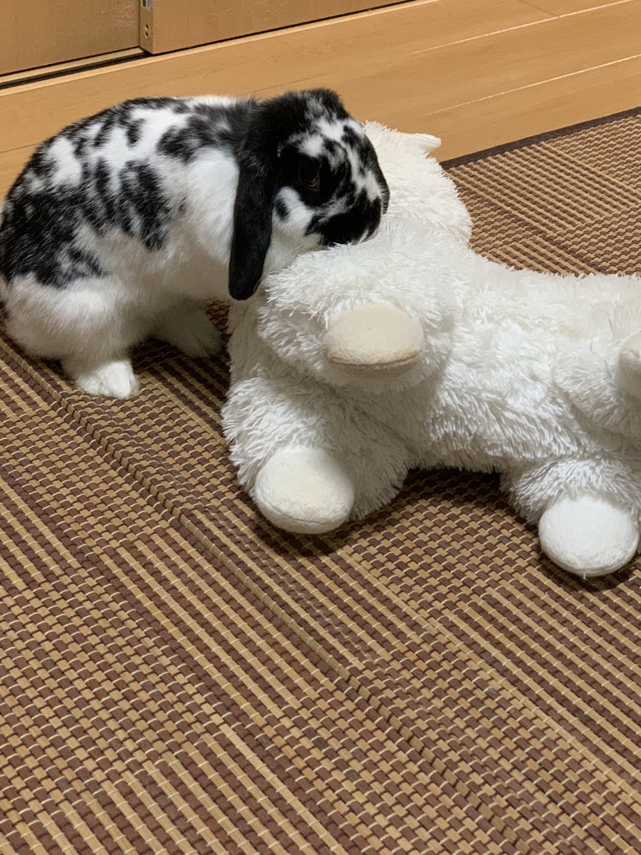 パカ男と仲良し