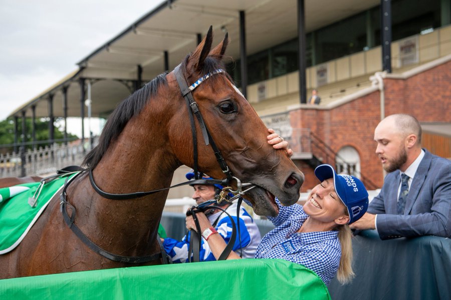 View image on Twitter