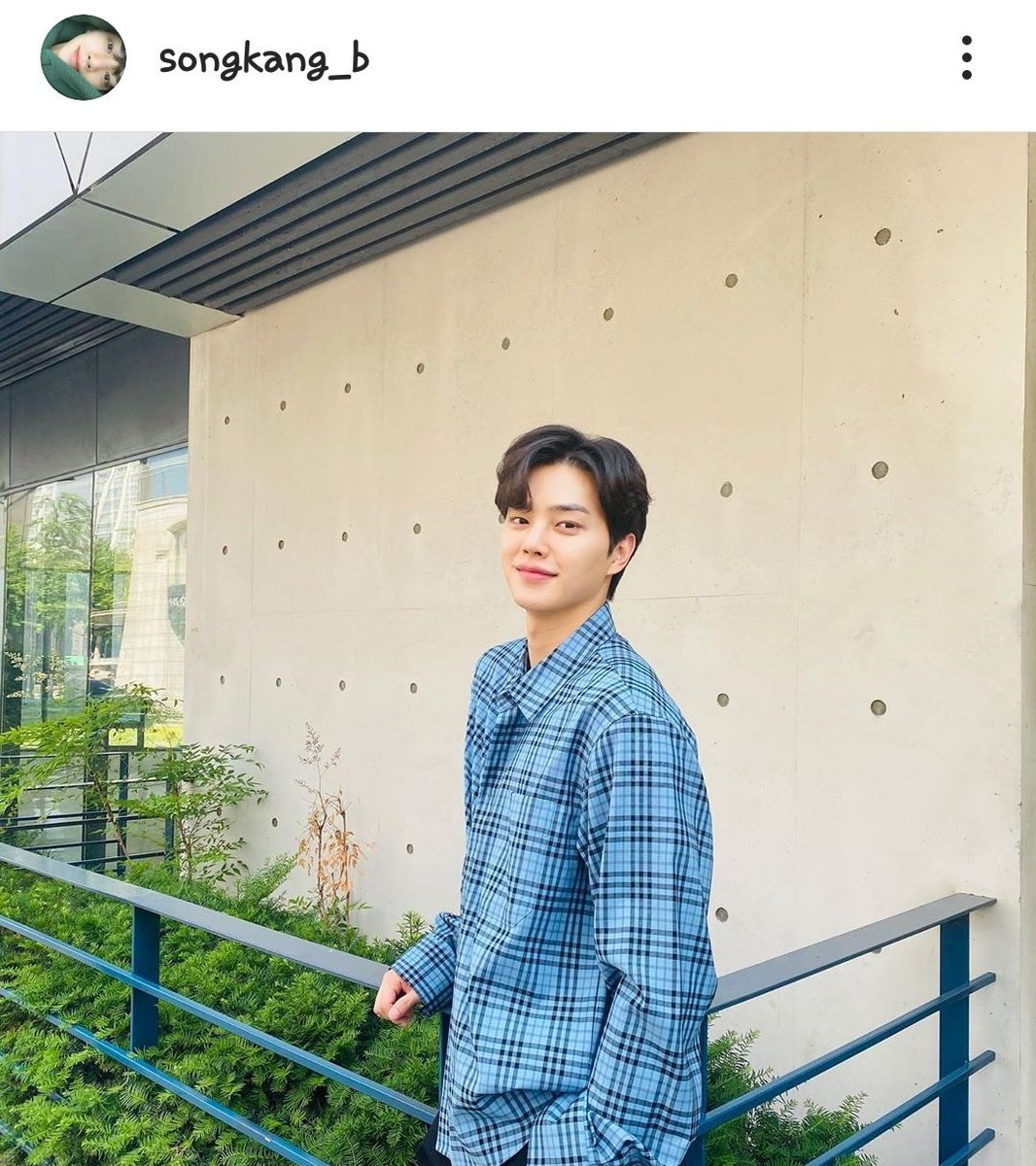 น้องซงคังของนูน่า🍃🍁 tweet media
