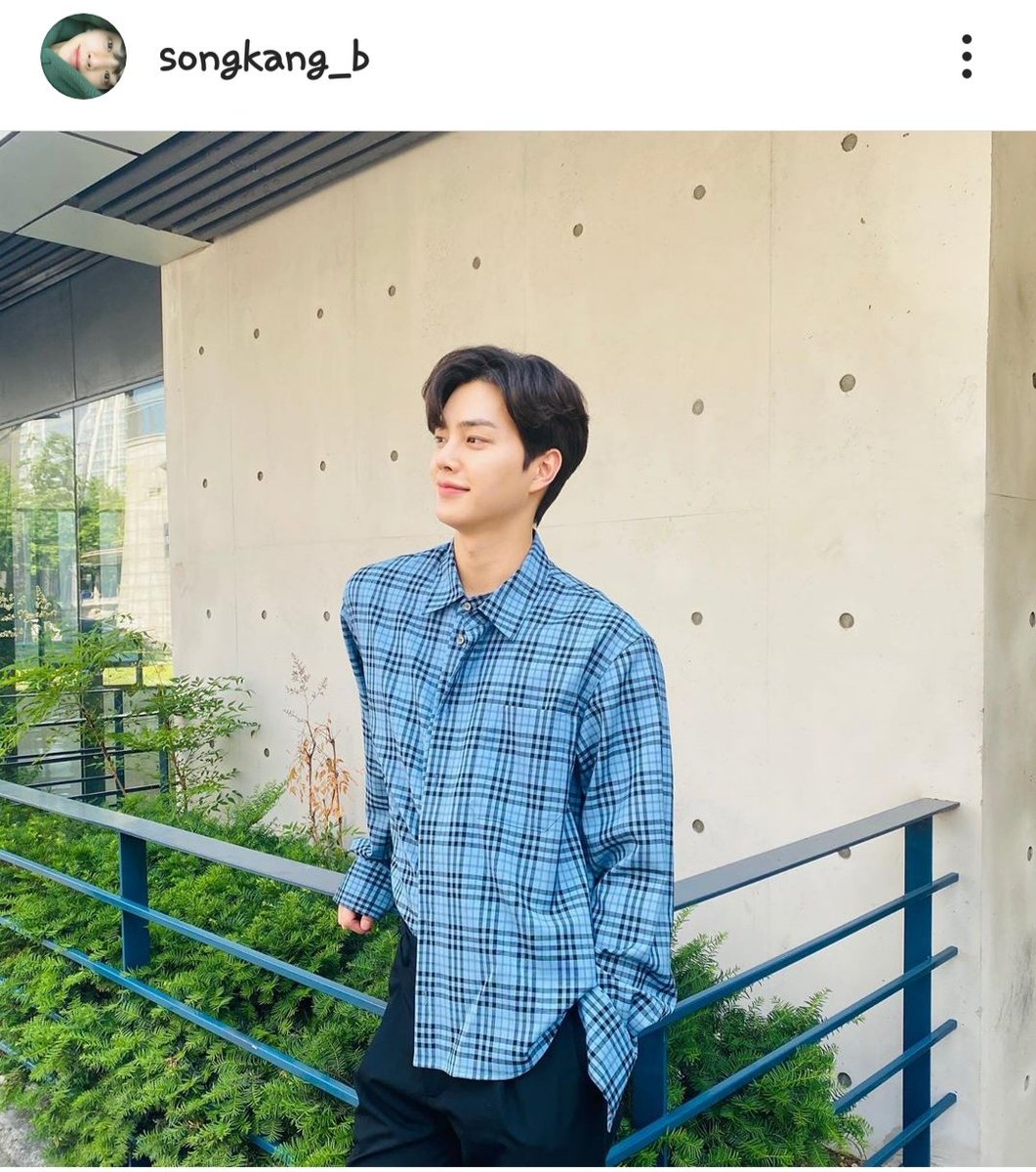 น้องซงคังของนูน่า🍃🍁 tweet media