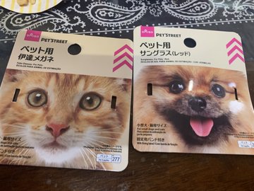 ダイソーのペット用のメガネって在庫はある 値段と種類も まわり道ウォーキング