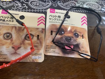 ダイソーのペット用のメガネって在庫はある 値段と種類も まわり道ウォーキング