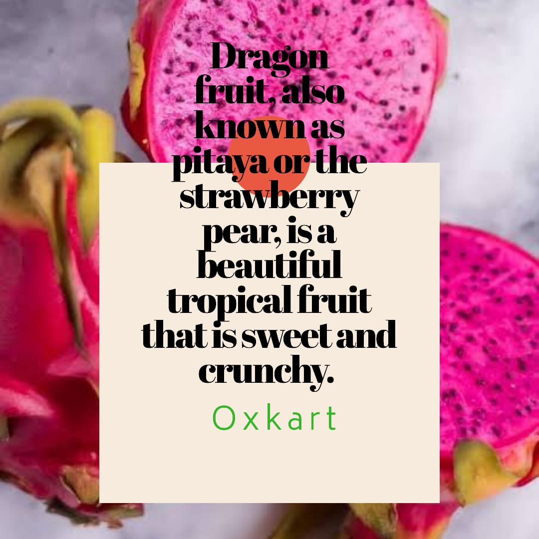 The origin of the dragon fruit is unknown, but it is probably native to Central America. It is also known as pitahaya in Mexico, and pitaya roja in Central America and northern South America#dragonfruits#oxkart#klic#supllychain#pitahaya #contactless#logistics#freshfood