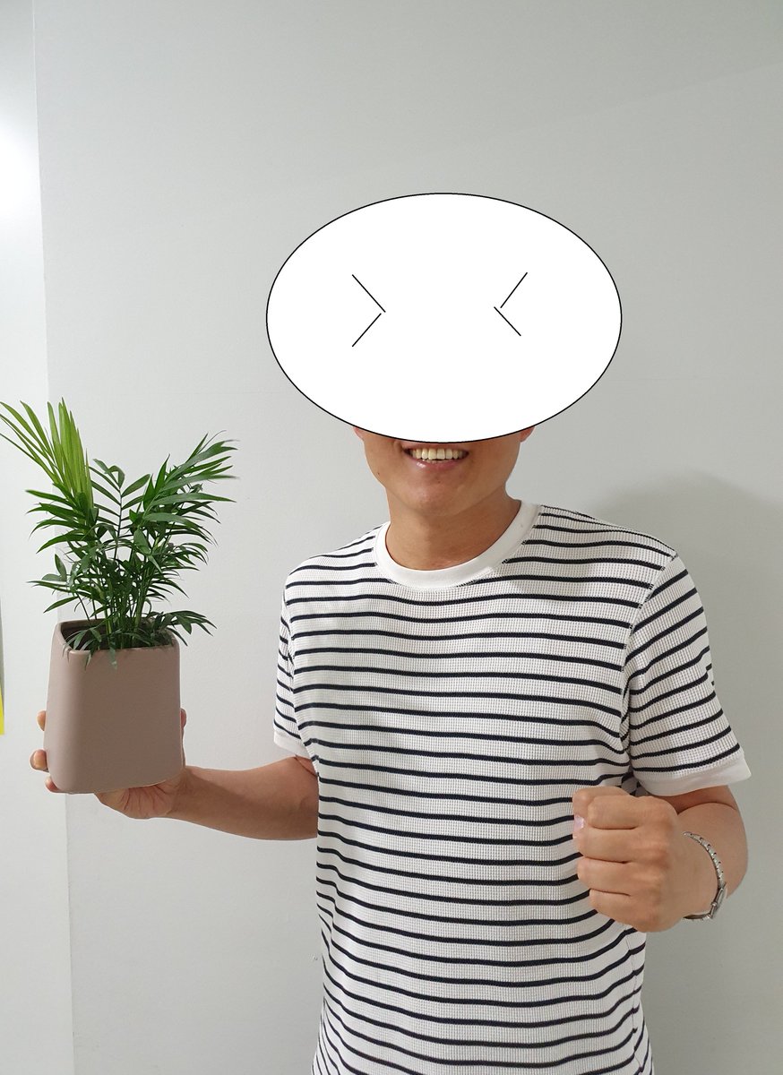 "성남시 실내 미세먼지까지 잡는다" 성남시는 실내 미세먼지까지 잡아 시민에 건강을 지키기 위한 공기정화식물 나눠주기 캠페인을 하고 있다. 공기정화식물을 받기 위해서는 식물을 받고SNS 홍보는 하면 되는데........ 많은 시민들이 홍보하여 실내 미세먼지까지 잡고 건강도 지키고^^