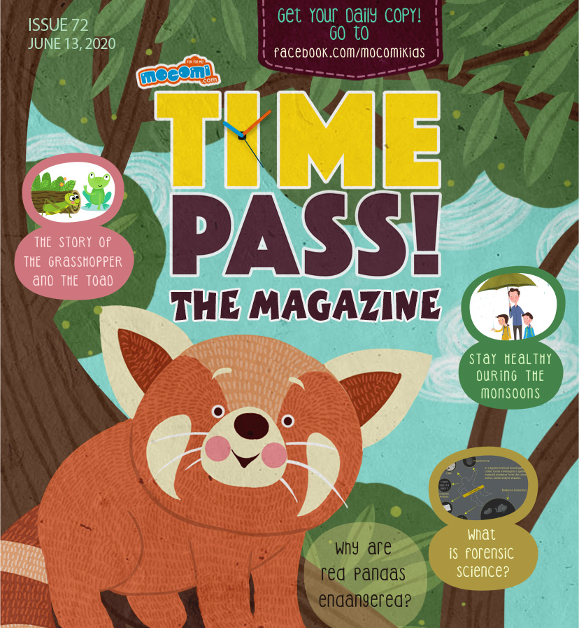 MocomiKids's tweet image. Did you know the red panda isn't related to the giant black and white panda? More about these cute little animals in #MocomiTimePass #Magazine #Issue72. 

Download it here mocomi.com/wp-content/upl…

Keep reading &amp;amp; share it with your friends!

#Stories #Games #Facts #Trivia #Fun