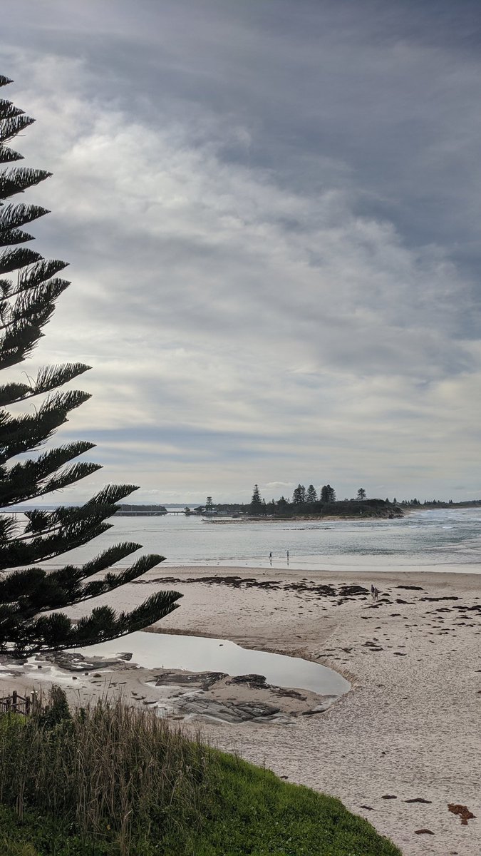 curlyhairfever's tweet photo. Nothing can compare!! #aussiebeaches #love https://t.co/5BfEZnfheS
