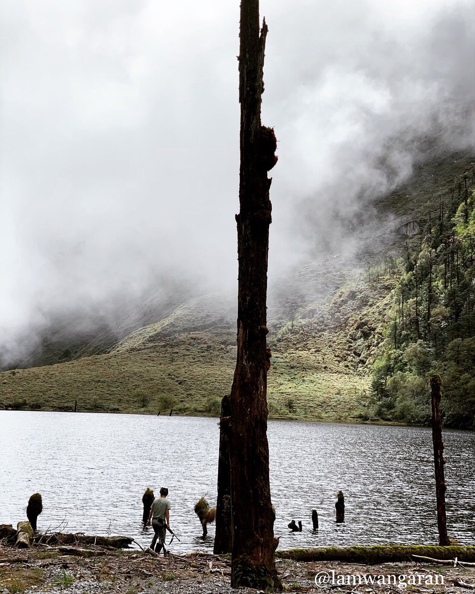 shalaran1's tweet photo. Incredible Arunachal! Amazing Mechukha! @incredibleindia @neindiatraveler @tourismgoi https://t.co/yG0t4IIWFx