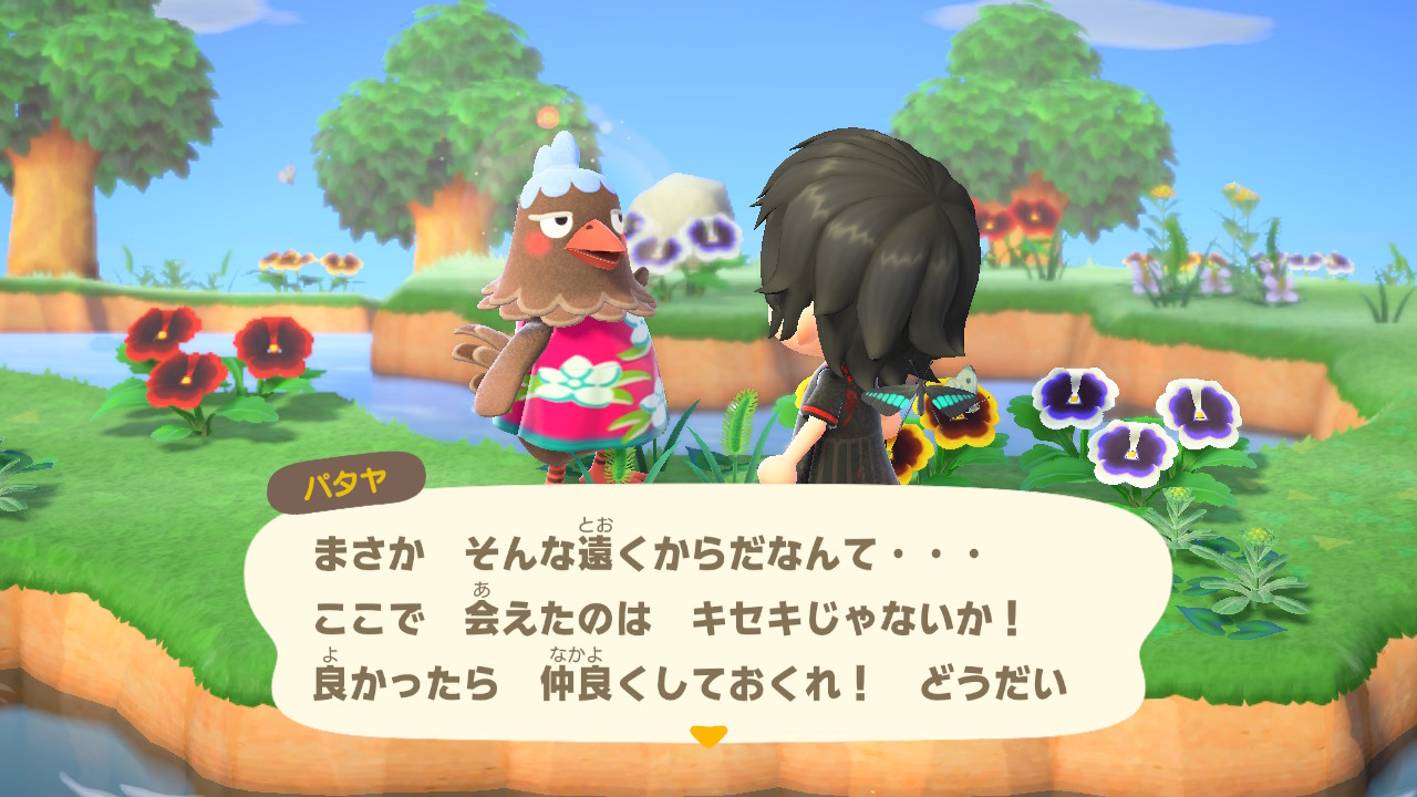 蜜蝋 生パタヤおばさんだーーーー なんだい どうだい どうぶつの森 Animalcrossing Acnh Nintendoswitch 蜜蝋 生パタヤおばさんだーーーー なんだい どうだい どうぶつの森 Animalcrossing Acnh Nintendoswitch