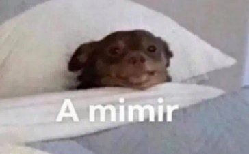 Luego de casi 6 horas de emociones, somos campeones de <a href="/LPE_es/">Liga Profesional de Esports</a>.