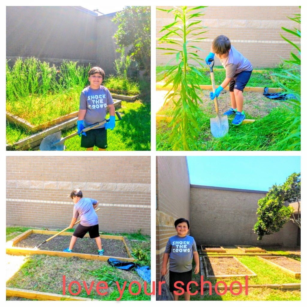 HumbleISD_WHE's tweet photo. With school closed the last few months, our gardens have been a bit neglected. This sweet boy took it upon himself to help beautify our campus. #togetherwemakeateam #BeTheLight #GlobalCitizen https://t.co/iePTiOueFl
