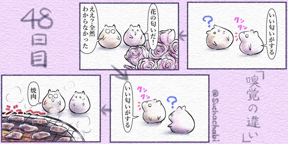 48日目 嗅覚の違い
人によって気になる匂いが違うようです
#4コママンガ #4コマ漫画 #4コマ #落書向上委員会