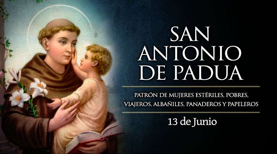 _Dios_Es_Vida's tweet image. San Antonio de Padua, Doctor de la Iglesia (1231) dlvr.it/RYXqQj