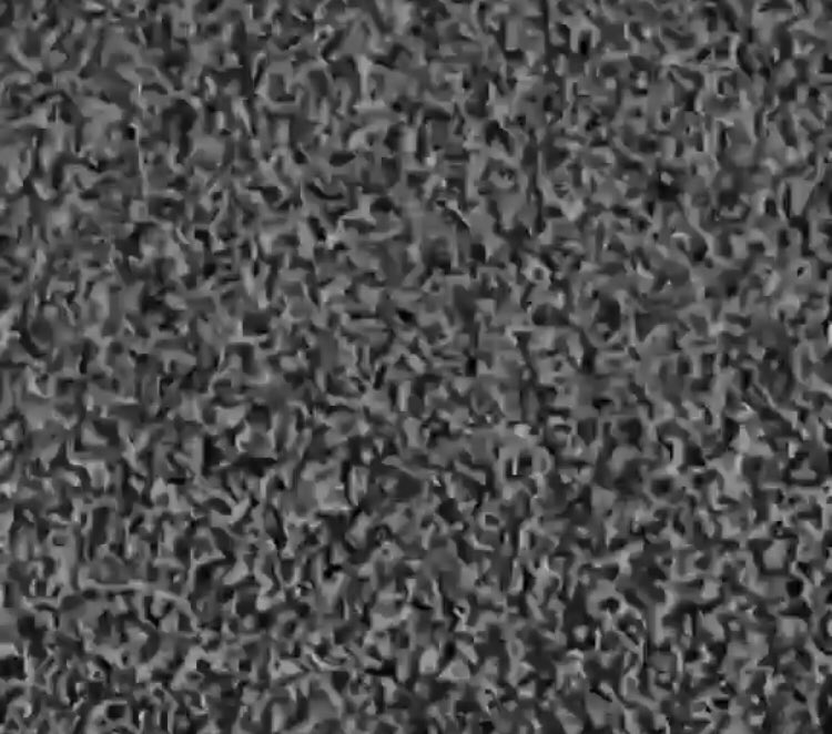 Best feeling in the world