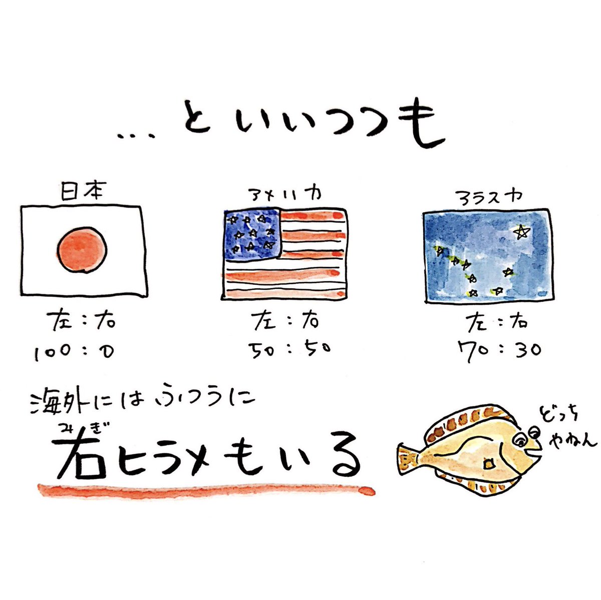 「左ヒラメに右カレイ…とは限らない。 」|さかなのおにいさん かわちゃんのイラスト