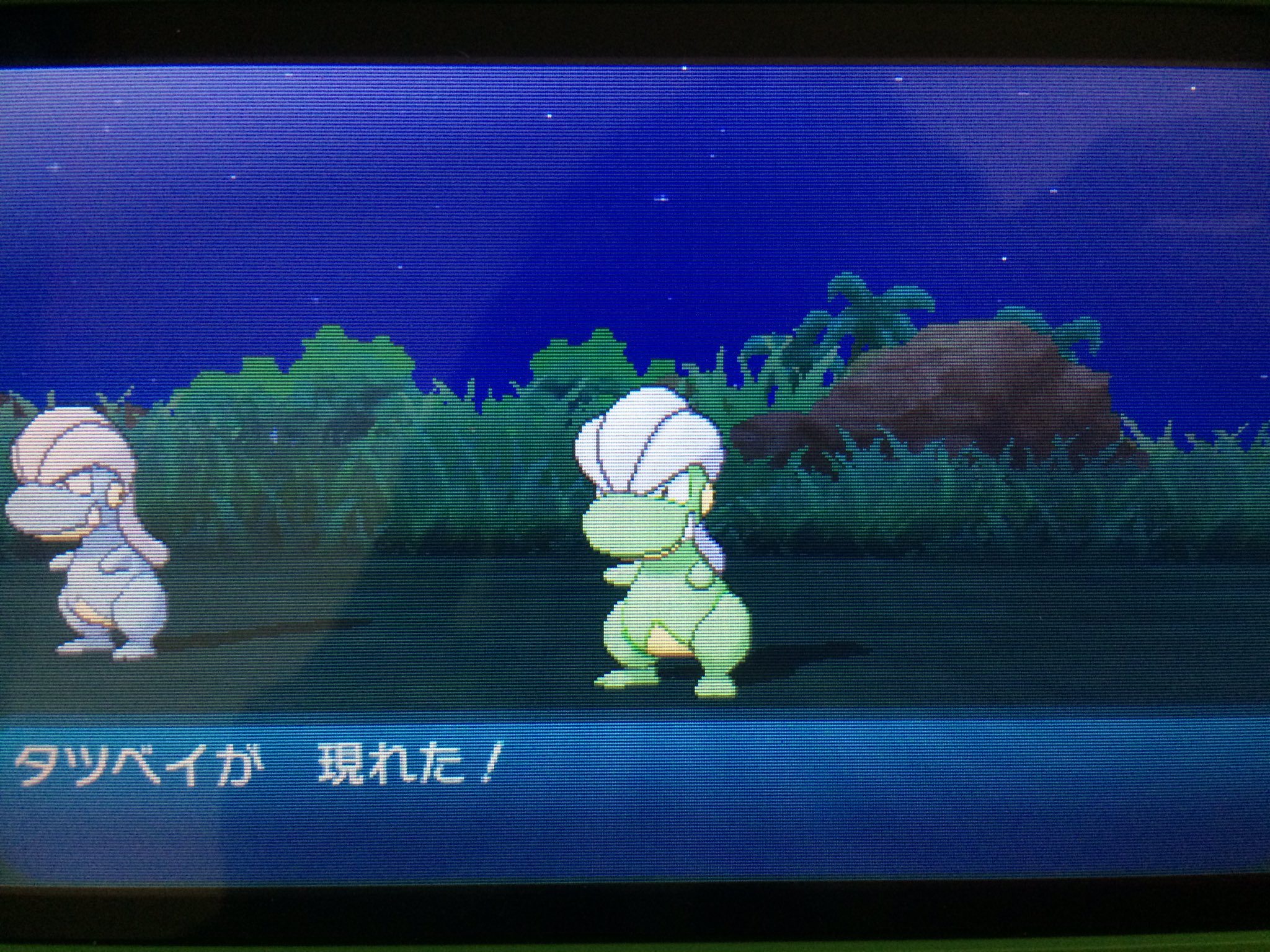 ポケモンサンムーン色違い Twitter Search Twitter