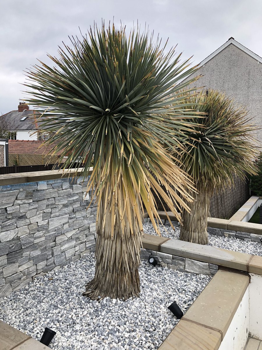 Sperrin Solutions LTD⚡️💡👷🏽‍♂️ tweet media
