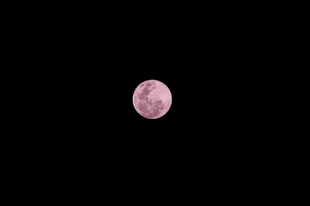 pink moon during mots: persona