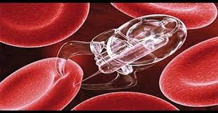 EllianaBronson's tweet photo. Nanotechnology: The future of medicine. #Nanotechnology looks likely to revolutionize #medicine in the future. The ability of nanotechnology to be able to #influence medicine is called #nanomedicine.
#Materialscience #Nanotechnology #covid_19 #Nanomedicine
https://t.co/06YHoueN1U https://t.co/47jqABpP1i