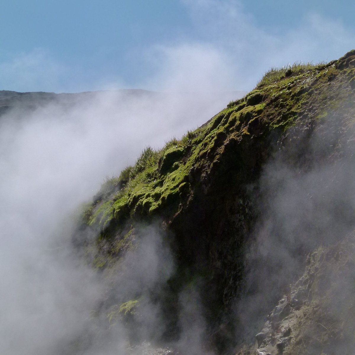 Iceland - first new artwork series to make in the wee studio will be of vernacular building in the north of #Iceland. Got to travel there as <a href="/EarthBuildingUK/">EBUKI</a> member last year to train in #turf #building.⁠
#thanks <a href="/archnetscot/">@ARCHnetScot</a> <a href="/EUErasmusPlus/">Erasmus+</a> #glaumbær #museum #Skagafjörður