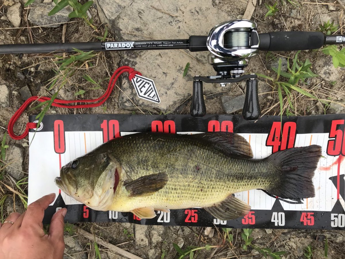 unfinish_022's tweet image. 久々にこっちにも。
#individualdevelopment
#paradox7103
#studiocomposite
#laysam
#jamincraw
#phatlab
#nekosogijigAIM