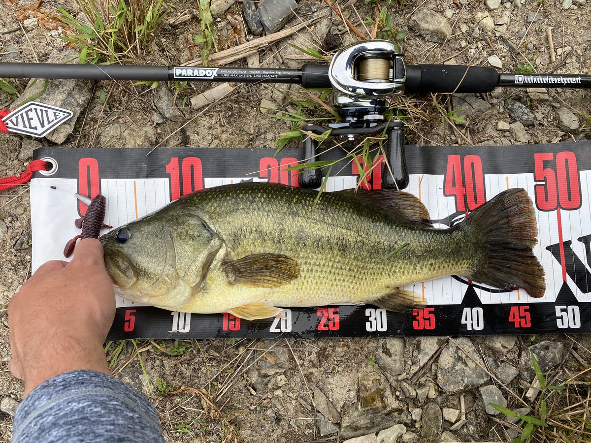 unfinish_022's tweet image. 久々にこっちにも。
#individualdevelopment
#paradox7103
#studiocomposite
#laysam
#jamincraw
#phatlab
#nekosogijigAIM