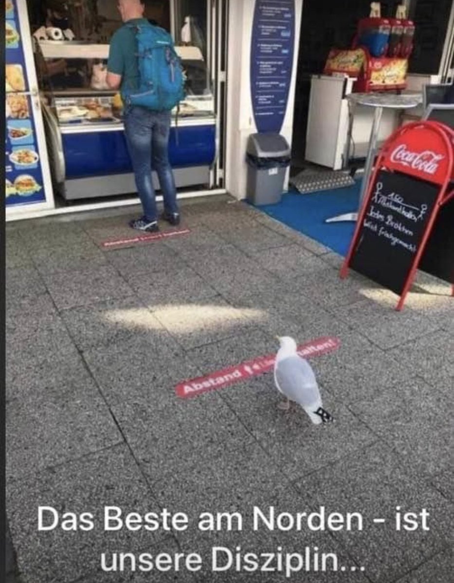 Nur de Snibbenpulli fählt!