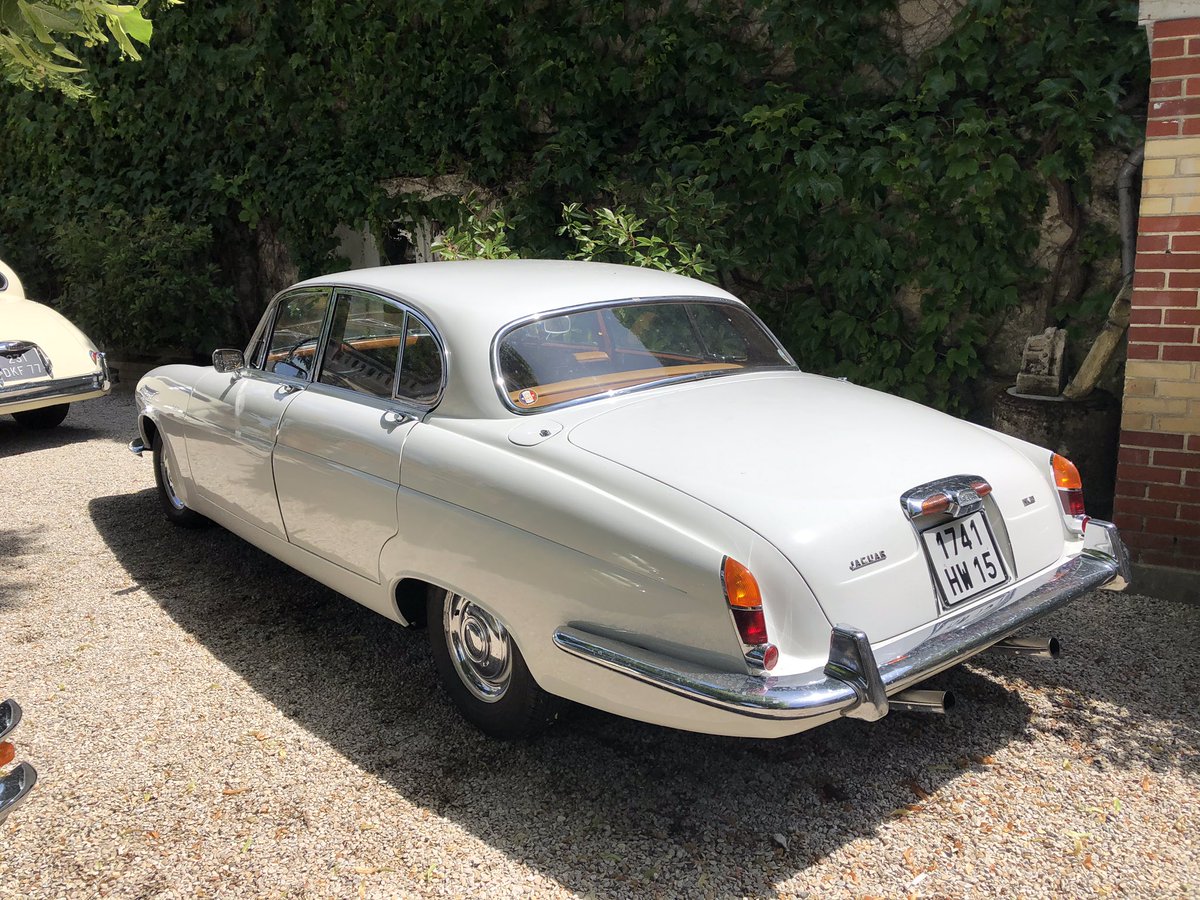 Happy #Caturday everyone