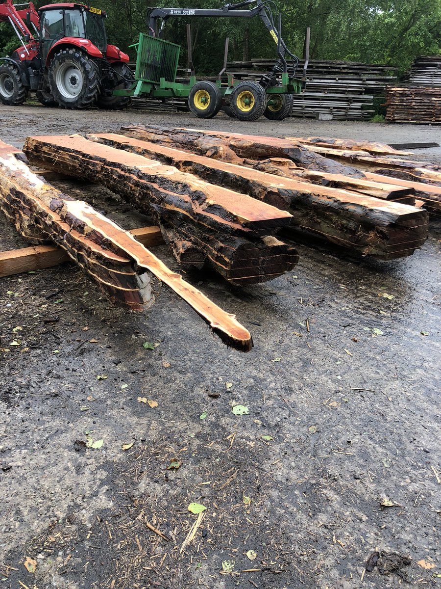 TEALEANDSONS's tweet photo. Little interesting yews 🌲 milled up #yew #uktimber #resintable https://t.co/UdmvvfKHYS