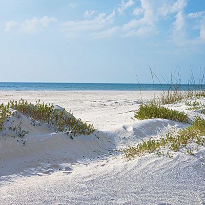 Pantious  Bianca tweet media