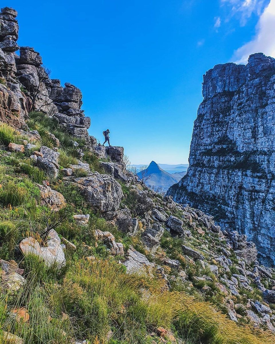 TableMountainCa's tweet photo. Hikers, before heading out to the #tablemountain hiking trails,please note the #Cableway is CLOSED due to #LockdownSA regulations&amp;we will not be able to assist with any rescues. Please be aware of weather conditions&amp;adhere to @TableMountainNP 's Level 3 rules.Pic: @justvon09 https://t.co/5rmyS4UMyi
