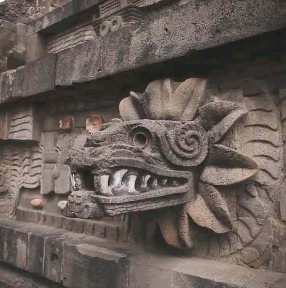The ancient Aztecs were a civilization that is now in what we call Mexico. Snakes and serpents were very important in their culture and they worshipped them, the pictures below show some of their drawings and monuments.