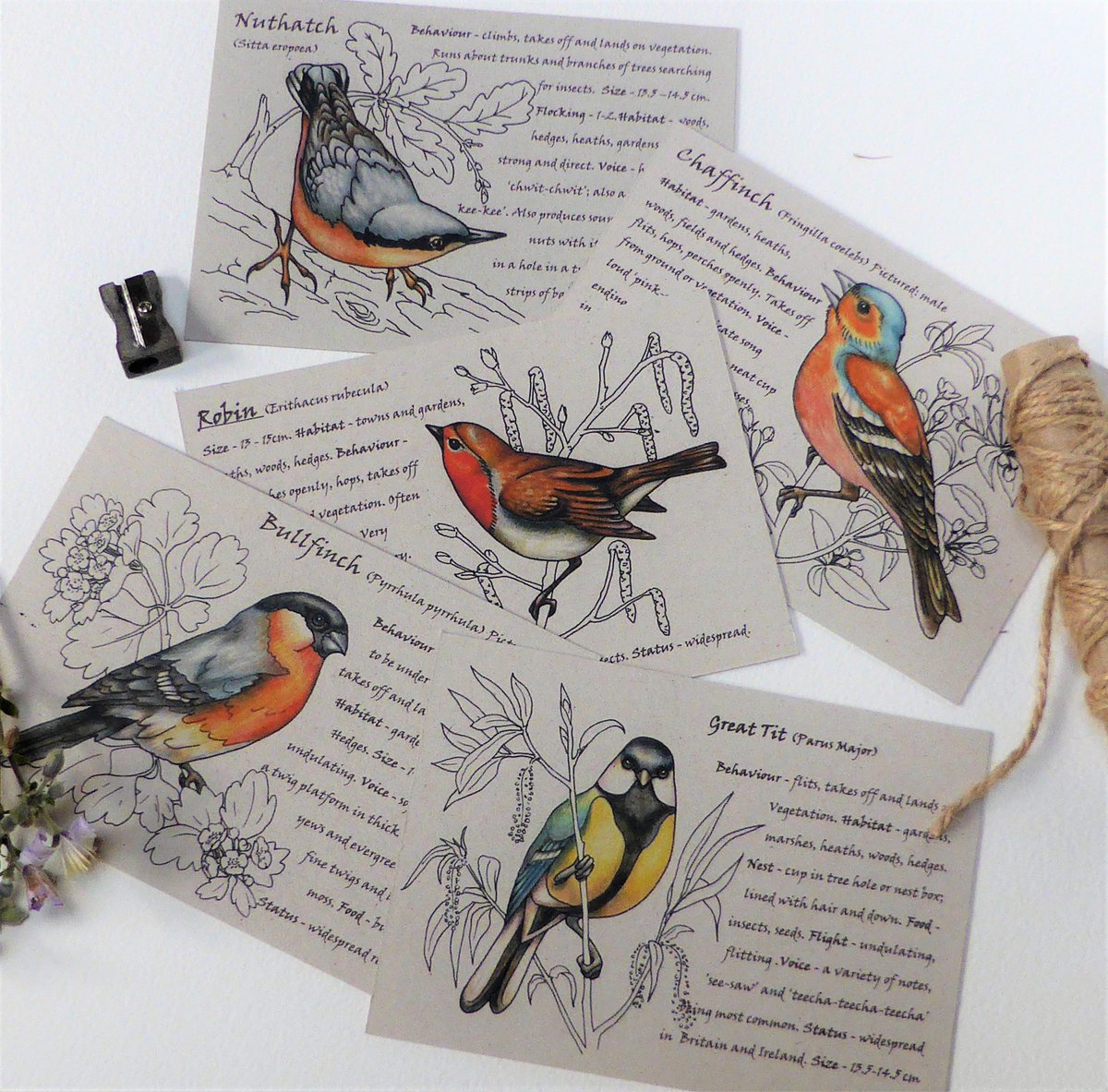 Hi #UKGiftHour #UKGiftAM Are you looking for a gift for a nature lover - I might have just the thing 🌿

etsy.com/uk/listing/547…

#birdwatching #naturelovers #gardenbirds #giftsforgardeners #FathersDayGifts #SupportSmallBusinesses