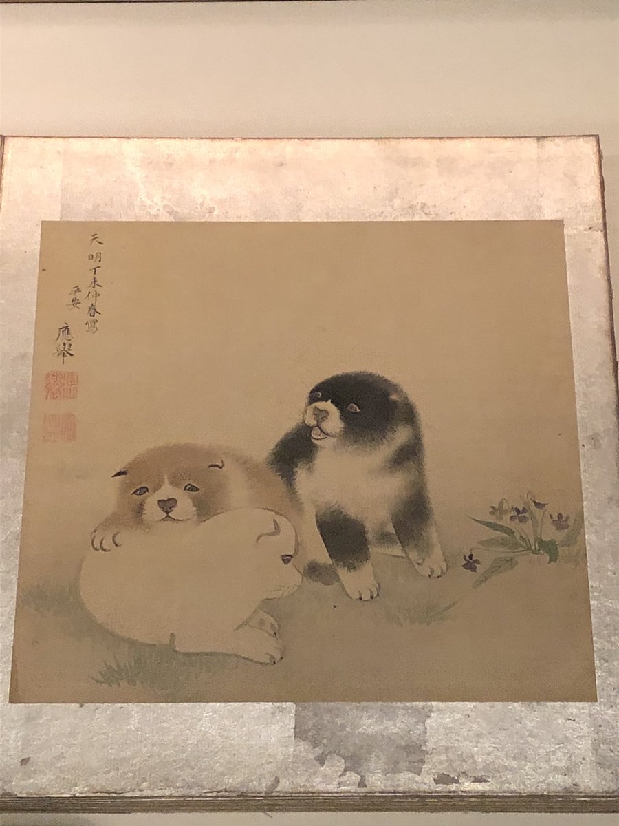 Kantoku 続いて いちからわかる 円山応挙 と長沢芦雪 嵯峨嵐山文華館 応挙と弟子の芦雪の作品を並べる展示が上手い 応挙の若い頃の簡潔な表現と西洋画のような遠近感ある作品は初めて 驚いた 応挙も芦雪も若冲も 犬がホントに可愛い ほっこりする