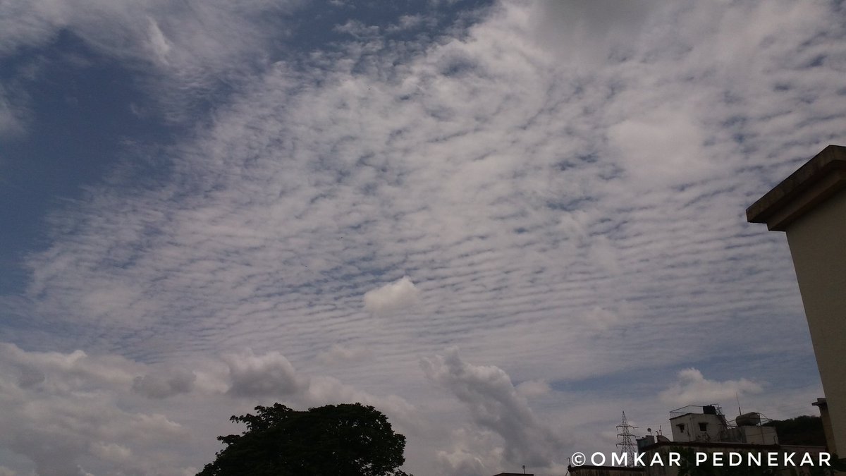 Omkar Pednekar 🇮🇳 tweet media